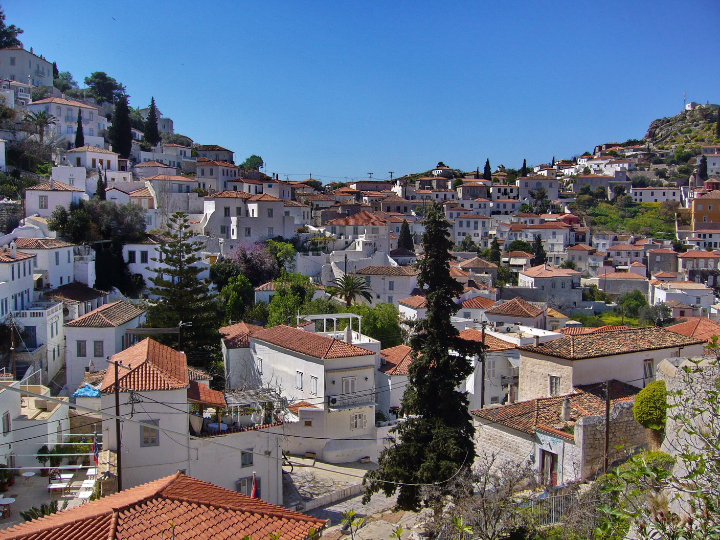 Hydra